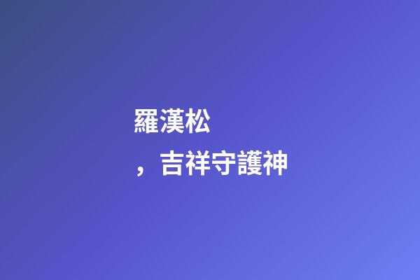 羅漢松，吉祥守護神